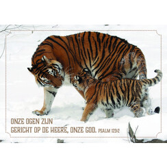 ansichtkaart 25-30 (1 stuk = set van 10 dezelfde ansichtkaarten)