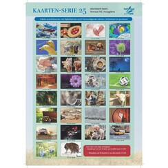 Mix pakket ansichtkaarten serie 25 ( 1stuk = 30 verschillende ansichkaarten)