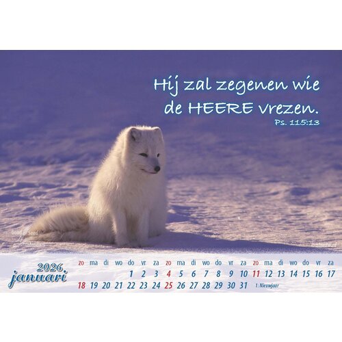 Bureaukalender: In Uw schuilplaats 2026