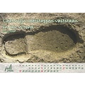 Bureaukalender: In Uw schuilplaats 2026