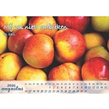 Bureaukalender: In Uw schuilplaats 2026