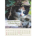Minikalender 2026