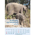 Minikalender 2026