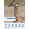 Minikalender 2026