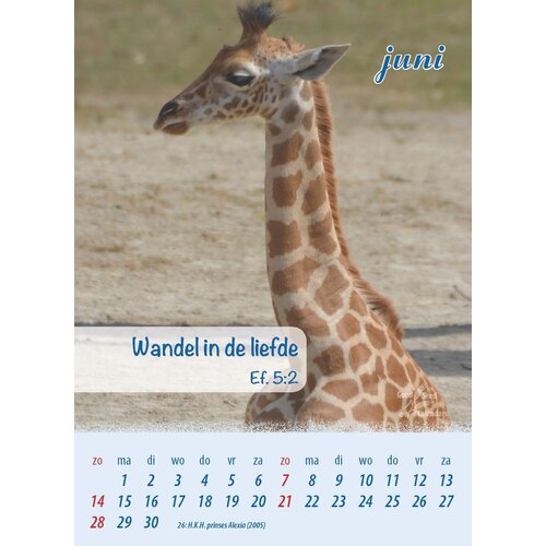 Minikalender 2026