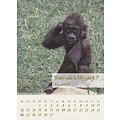 Minikalender 2026