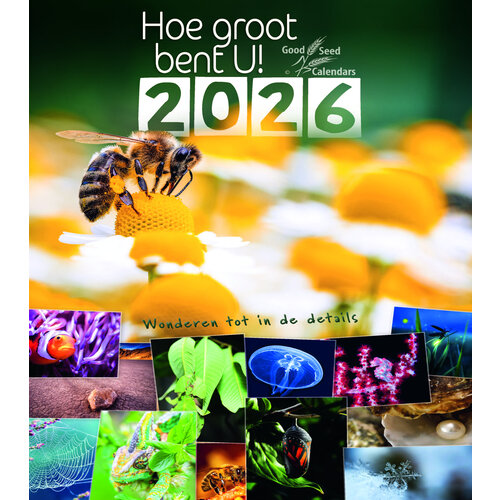Posterkalender: Hoe groot bent U! 2026