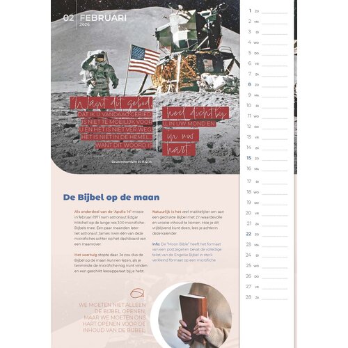 Posterkalender InSight 2026