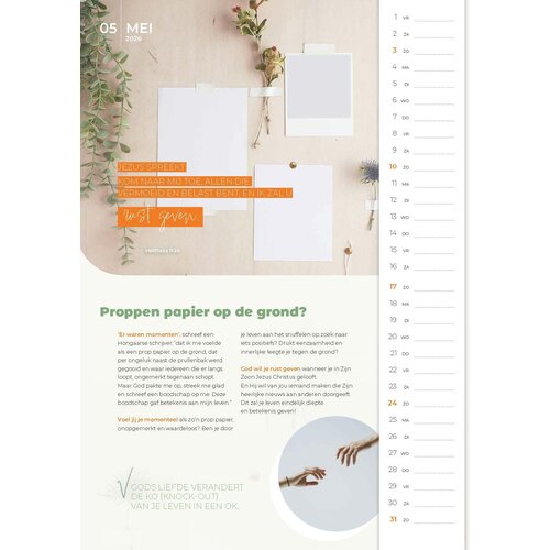 Posterkalender InSight 2026