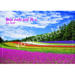 Ansichtkaart 26-01 met Bijbeltekst (1 stuk = set à 10 dezelfde ansichtkaarten)