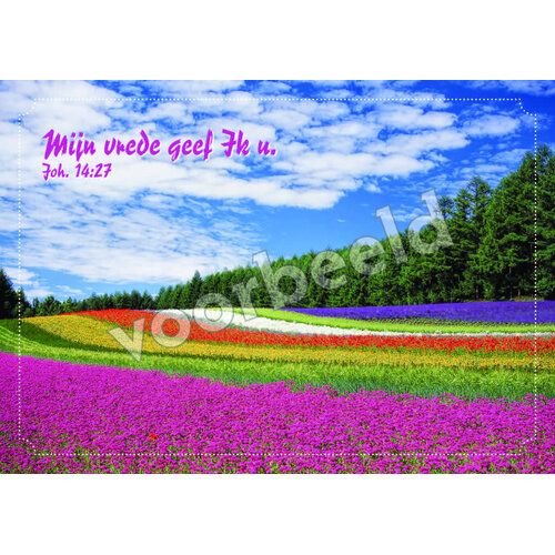 Ansichtkaart 26-01 met Bijbeltekst (1 stuk = set à 10 dezelfde ansichtkaarten)