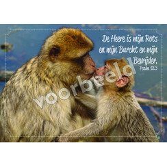 Ansichtkaart 26-02 met Bijbeltekst (1 stuk = set à 10 dezelfde ansichtkaarten)