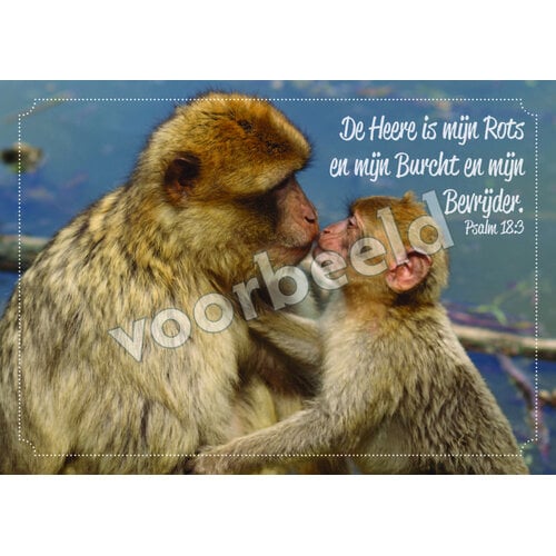 Ansichtkaart 26-02 met Bijbeltekst (1 stuk = set à 1 stuk van dezelfde kaart)