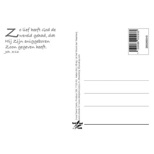 Ansichtkaart 26-03 met Bijbeltekst (1 stuk = set à 1 stuk van dezelfde kaart)