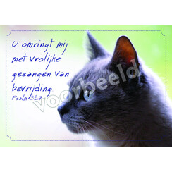 Ansichtkaart 26-07 met Bijbeltekst (1 stuk = set à 10 dezelfde ansichtkaarten)