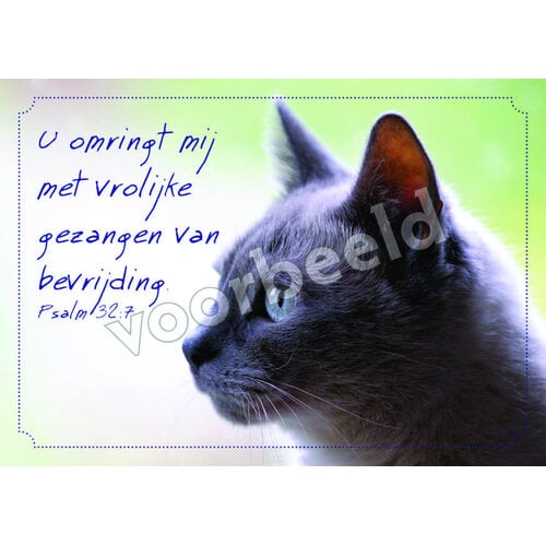 Ansichtkaart 26-07 met Bijbeltekst (1 stuk = set à 1 stuk van dezelfde kaart)