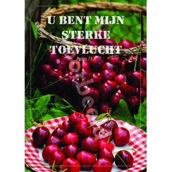 Ansichtkaart 26-08 met Bijbeltekst (1 stuk = set à 10 dezelfde ansichtkaarten)