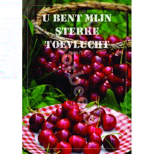 Ansichtkaart 26-08 met Bijbeltekst (1 stuk = set à 1 stuk van dezelfde kaart)