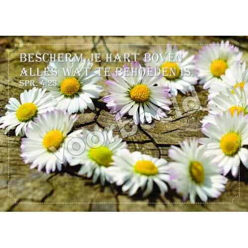 Ansichtkaart 26-09 met Bijbeltekst (1 stuk = set à 1 stuk van dezelfde kaart)