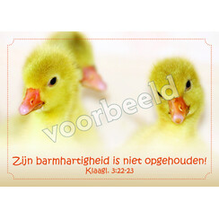 Ansichtkaart 26-11 met Bijbeltekst (1 stuk = set à 10 dezelfde ansichtkaarten)