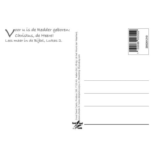 Ansichtkaart 26-12 met Bijbeltekst (1 stuk = set à 1 stuk van dezelfde kaart)