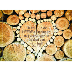 Ansichtkaart 26-13 met Bijbeltekst (1 stuk = set à 10 dezelfde ansichtkaarten)