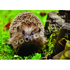 Ansichtkaart 26-14 met Bijbeltekst (1 stuk = set à 10 dezelfde ansichtkaarten)