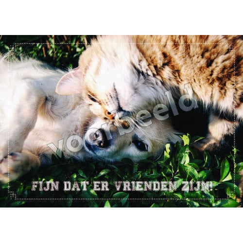 Ansichtkaart 26-16 met Bijbeltekst (1 stuk = set à 1 stuk van dezelfde kaart)