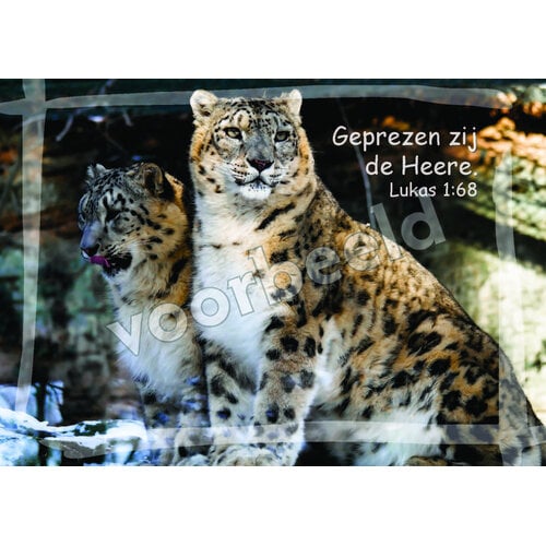 Ansichtkaart 26-19 met Bijbeltekst (1 stuk = set à 1 stuk van dezelfde kaart)