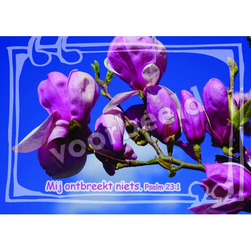 Ansichtkaart 26-20 met Bijbeltekst (1 stuk = set à 1 stuk van dezelfde kaart)