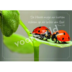 Ansichtkaart 26-22 met Bijbeltekst (1 stuk = set à 10 dezelfde ansichtkaarten)