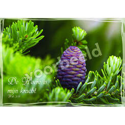 Ansichtkaart 26-24 met Bijbeltekst (1 stuk = set à 10 dezelfde ansichtkaarten)