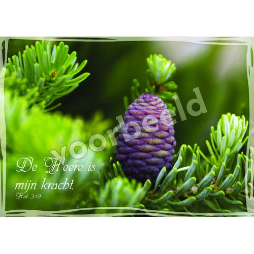 Ansichtkaart 26-24 met Bijbeltekst (1 stuk = set à 1 stuk van dezelfde kaart)