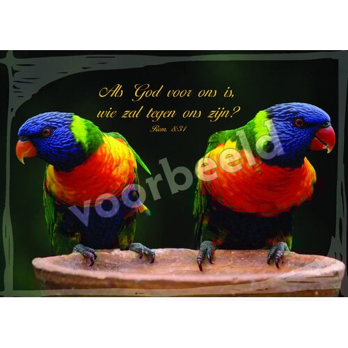 Ansichtkaart 26-26 met Bijbeltekst (1 stuk = set à 1 stuk van dezelfde kaart)