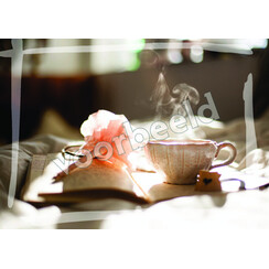 Ansichtkaart 26-29 met Bijbeltekst (1 stuk = set à 10 dezelfde ansichtkaarten)