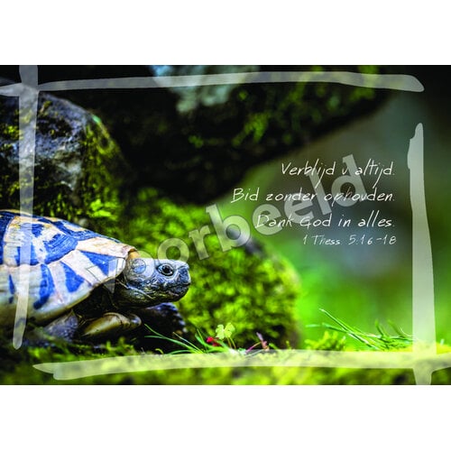 Ansichtkaart 26-30 met Bijbeltekst (1 stuk = set à 1 stuk van dezelfde kaart)