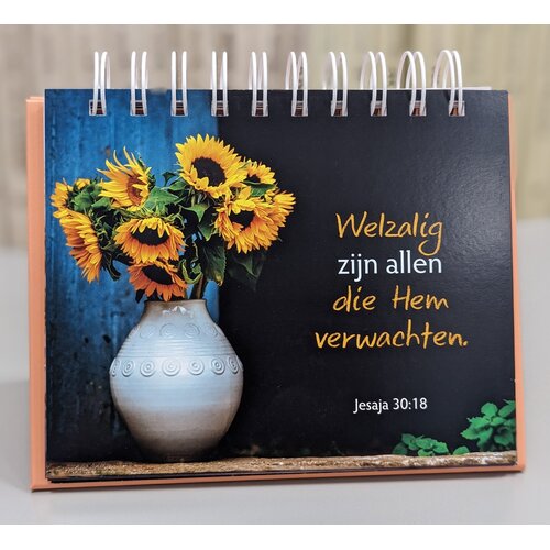 Het Woord dichtbij (Neerzetboek 13)
