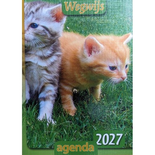 Wegwijs Agenda 1017