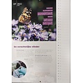 Posterkalender InSight 2027