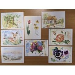 Aquarel-kaarten A6-formaat zonder Bijbeltekst (mixpakker à 8 verschillende kaarten)