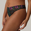 Prima Donna Prima Donna San Angel string 38-44 peacock feather