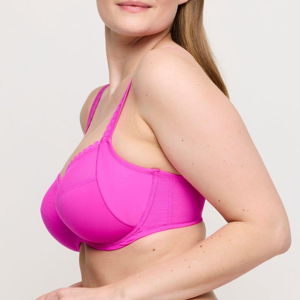 PrimaDonna Twist Prima Donna Twist Vivgirl volle cup C-H cactus fower