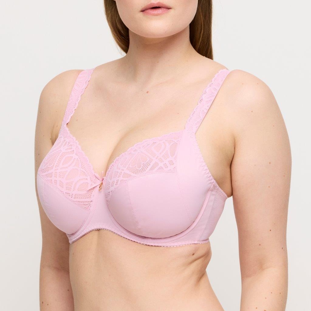 Prima Donna Prima Donna Salerno full cup B-H spring rose