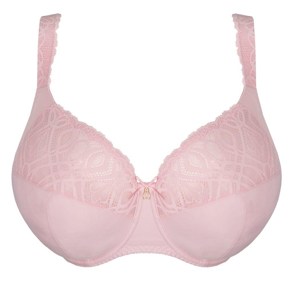 Prima Donna Prima Donna Salerno full cup I-M spring rose