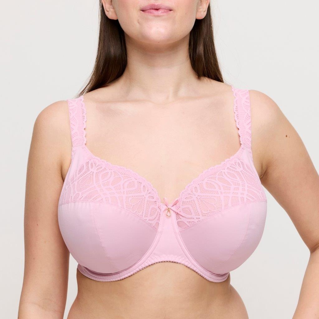 Prima Donna Prima Donna Salerno full cup I-M spring rose