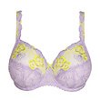 Prima Donna Prima Donna Ixia  full cup B-I wisteria