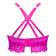 PrimaDonna Twist Prima Donna Twist Dear night plunge bh B-G influencer pink