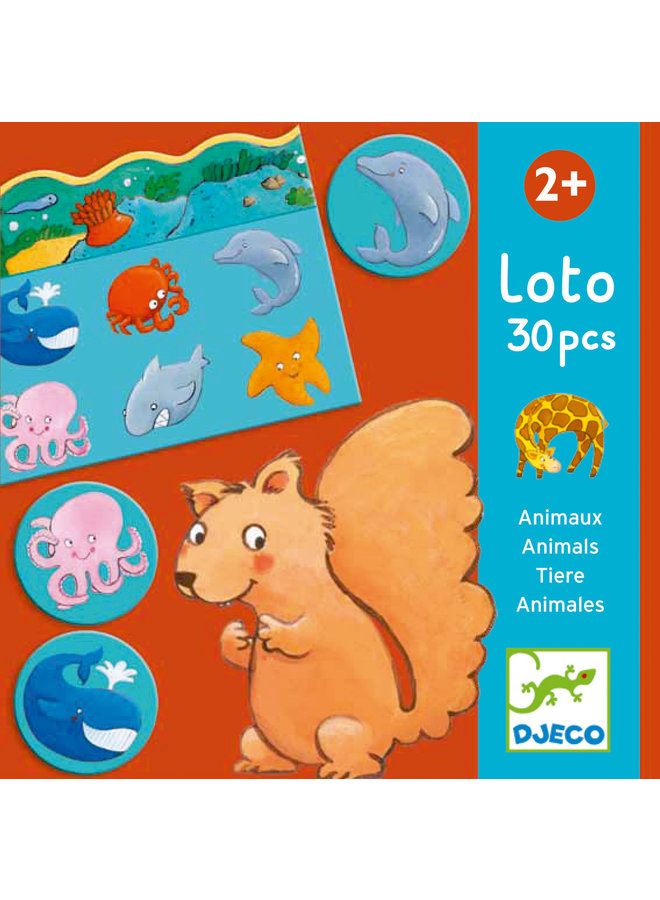 Djeco | lottospel | animals