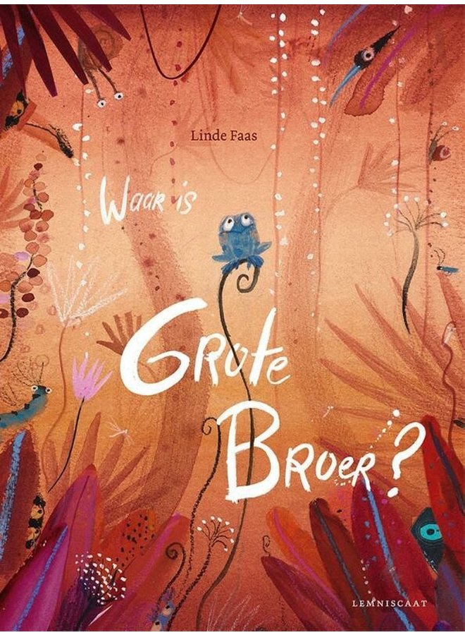 Boeken | waar is grote broer? | 4+