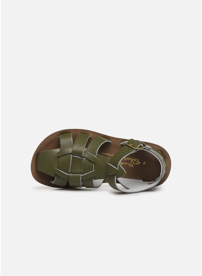 Salt Water Sandals | shark | olive